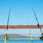 Benefits Of Sustainable Fishing Practices