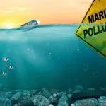Effects Of Pollution On Marine Ecosystems