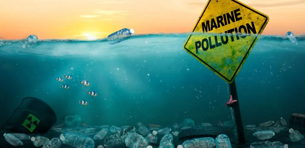 Effects Of Pollution On Marine Ecosystems