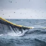 Innovative Fishing Methods That Reduce Bycatch And Harm To Marine Life