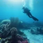 Eco-Friendly Diving and Snorkeling