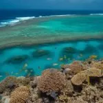 coral reef zone types