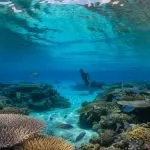 snorkel the best reefs