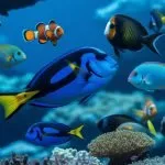 vibrant colors for survival